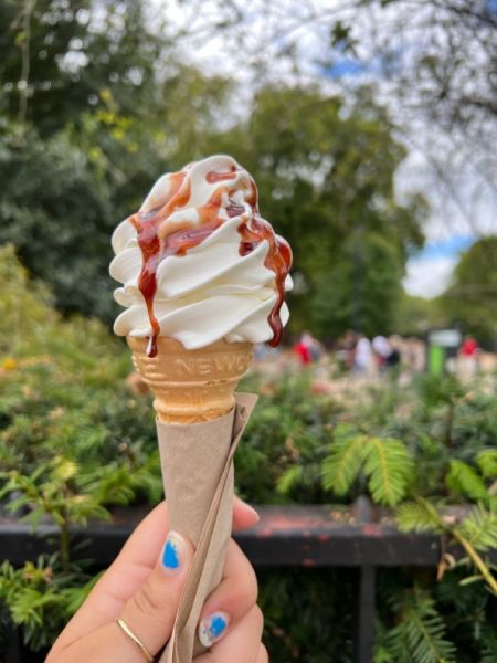 Poleva, topping slaný karamel