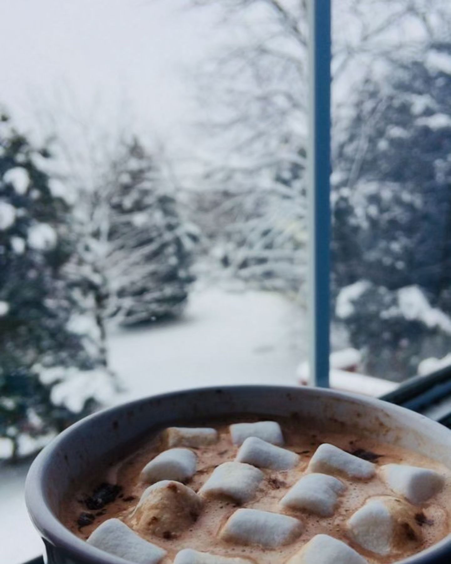 Krásne nedeľné, adventné ráno priatelia. 🙂
Sme si vôbec vedomí, že do konca roka nám ostáva 30dní?! 🙊 Je to priam neuveriteľné že? 
A preto spomaľte a užime si každú chvíľu v tejto predvianočnej atmosfére. 🎁